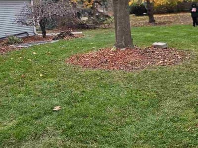 Lawn care service in Brookfield, 53005
