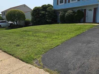 Lawn care service in Willingboro, 08046