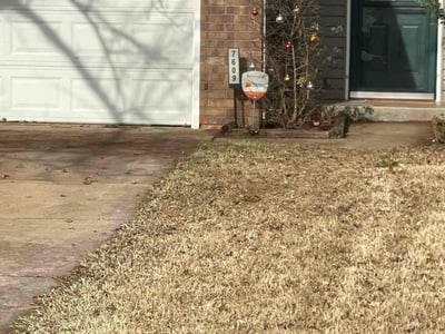 Lawn care service in Oklahoma City, 73162