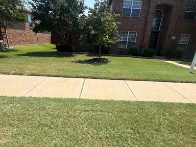 Lawn care service in Frisco, 75034