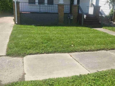 Lawn care service in Detroit, 48228