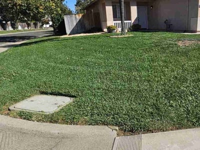 Lawn care service in Galt, 95632