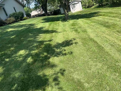 Lawn care service in Sussex, 53089