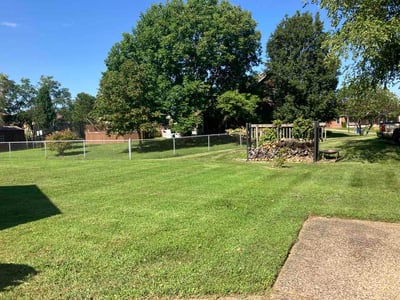 Lawn care service in Louisville, 40214