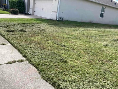Lawn care service in Sanford, 32771