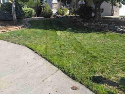 Lawn care service in Colorado Springs, 80920