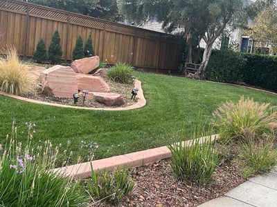 Lawn care service in Tracy, 95377