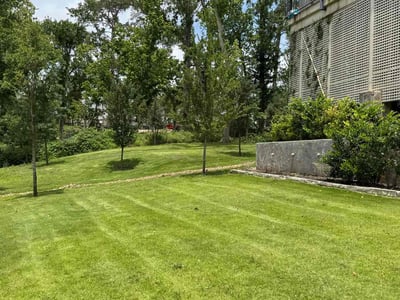 Lawn care service in Piney Point Village, 77024
