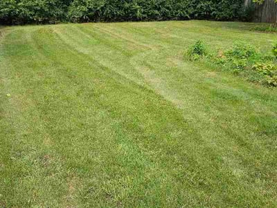 Lawn care service in Milwaukee, 53218