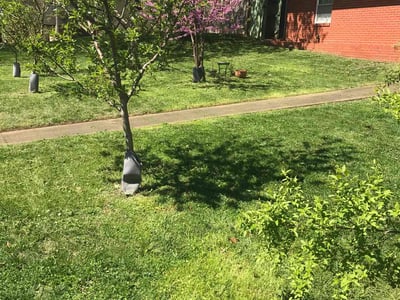 Lawn care service in Richmond, 23225