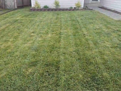 Lawn care service in Stanwood, 98292