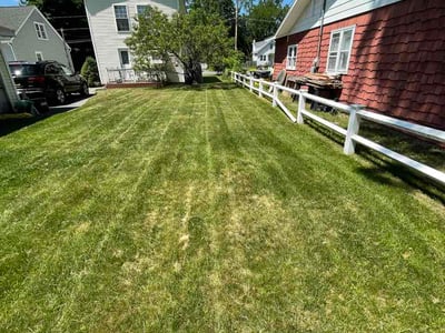 Lawn care service in Schenectady, 12306