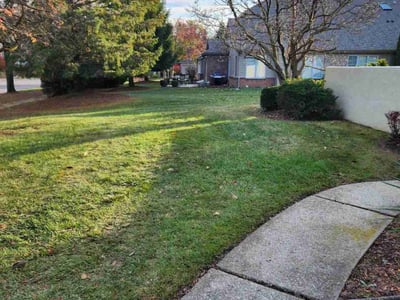 Lawn care service in Sylvania, 43560