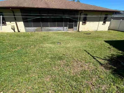 Lawn care service in Tampa, 33612
