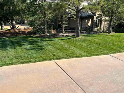 Lawn care service in Castle Rock, 80108