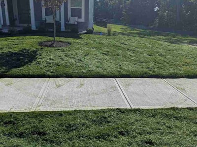 Lawn care service in Greenfield, 46140