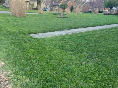 Lawn care service in Mansfield, 44907