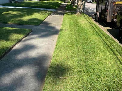 Lawn care service in Norfolk, 23503