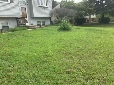 Lawn care service in Gloucester Township, 08081