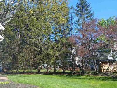 Lawn care service in Delmar, 12054