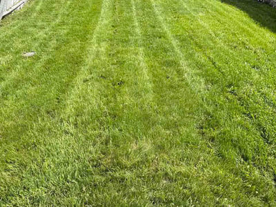 Lawn care service in Edwardsville, 18704
