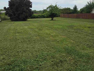 Lawn care service in Hendersonville, 37075