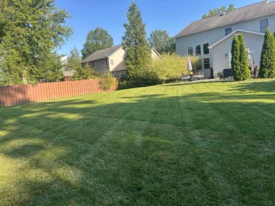 Lawn care service in Westlake, 44145