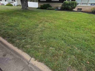 Lawn care service in Minneapolis, 55429