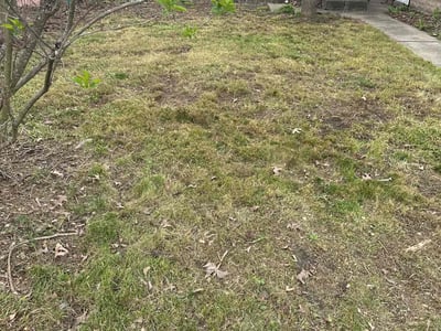 Lawn care service in Ellwood City, 16117