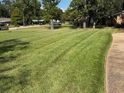 Lawn care service in Mandeville, 70448