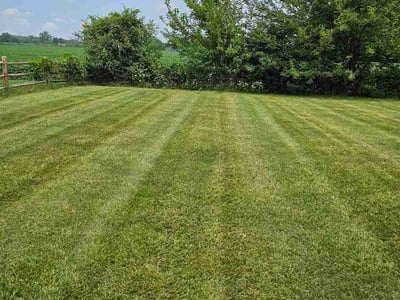 Lawn care service in Maumee, 43537