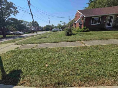 Lawn care service in Cincinnati, 45231