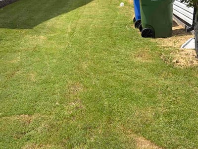 Lawn care service in Fuquay-Varina, 27526