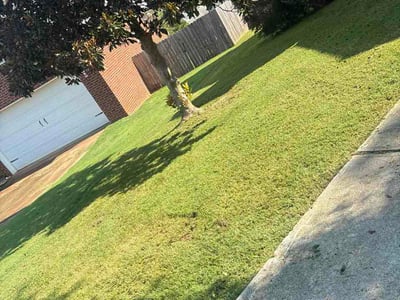 Lawn care service in Grovetown, 30813