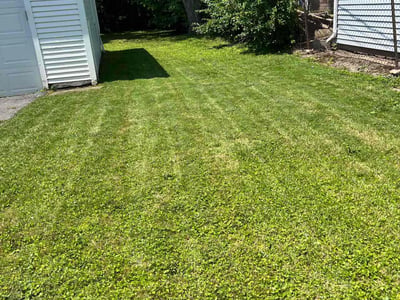 Lawn care service in Buffalo, 14215
