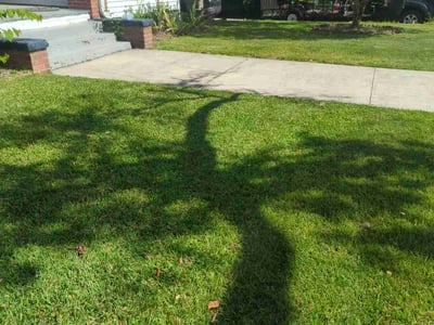 Lawn care service in Lancaster, 29720