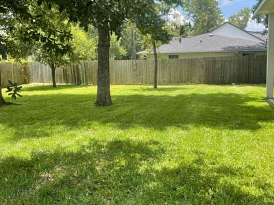 Lawn care service in Conroe, 77385