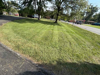 Lawn care service in Indianapolis, 46237