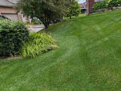 Lawn care service in White Lake, 48386