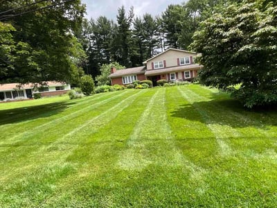 Lawn care service in Lancaster, 17601