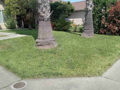 Lawn care service in Stockton, 95206