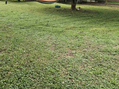 Lawn care service in Charlotte, 28277
