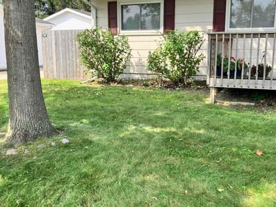Lawn care service in Marion, 52302