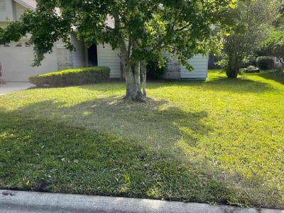 Lawn care service in Jacksonville, 32224