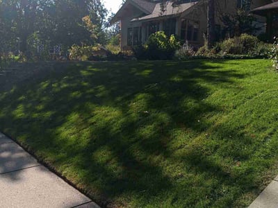 Lawn care service in Minneapolis, 55410