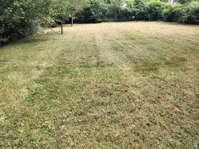 Lawn care service in Springfield, 65804