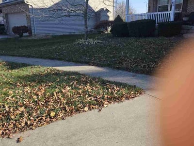 Lawn care service in , 