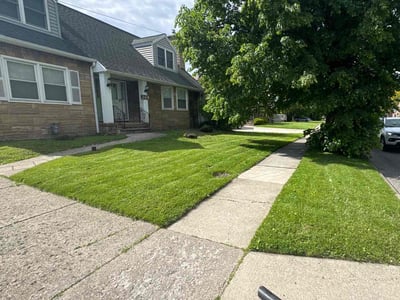 Lawn care service in Buffalo, 14206
