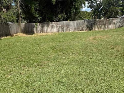 Lawn care service in Clermont, 34711