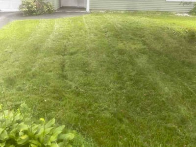 Lawn care service in Cohoes, 12047